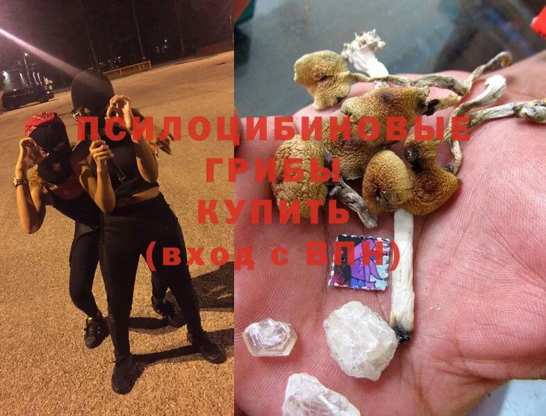 цены   Бокситогорск  Галлюциногенные грибы Magic Shrooms 