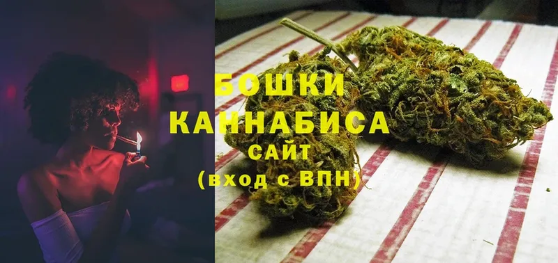 купить наркотик  Бокситогорск  Бошки марихуана Amnesia 